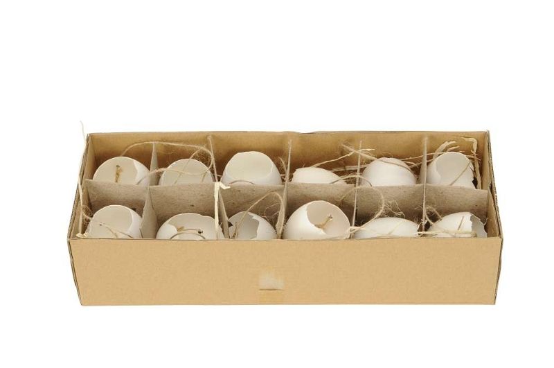 картинка Набор из 12 шт Декор "Скорлупки" 4,5x5/10см