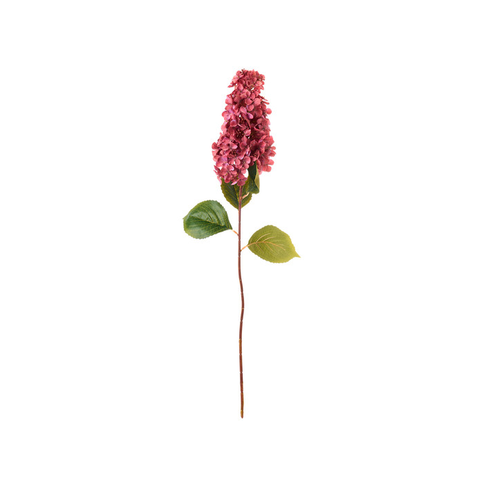 картинка Гортензия антично-бордовая 82см