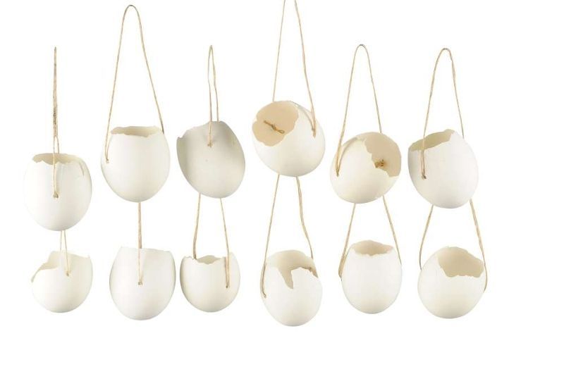 картинка Набор из 12 шт Декор "Скорлупки" 4,5x5/10см